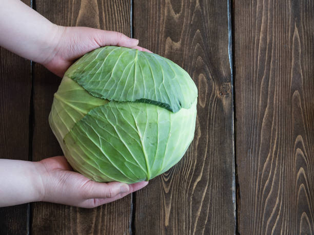 istock Close up of beautiful green cabbage. 1224957117