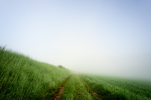 A track across the fields in the fog, the clear sky is slightly visible, uncertainty wideness