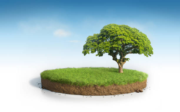 istock Realistic 3D rendering circle cutaway grass field with tree podium isolated on blue sky 1224959134