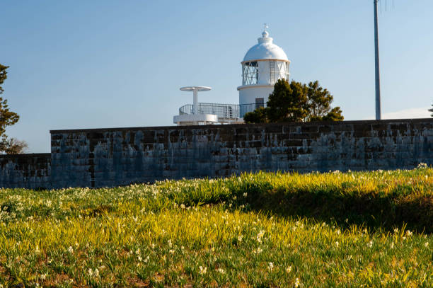 istock Lighthouse and Daffodils in Wakayama 1224964197