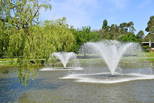 Fountain in the park woods in spring time