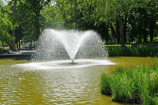 istock Fountain in the park woods in spring time 1224964537
