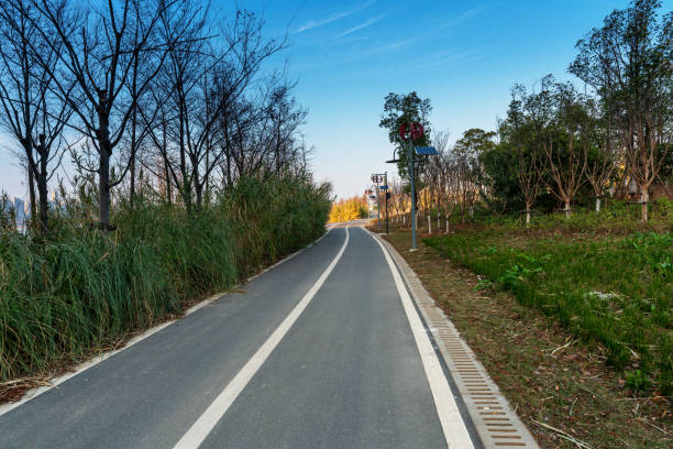 istock Summer landscape with green grass, road and clouds 1224965489