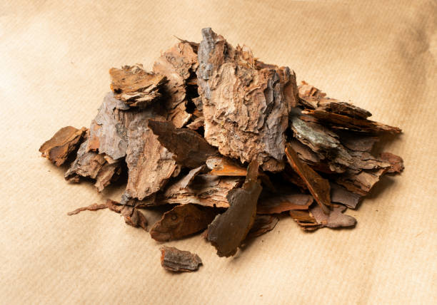 istock Heap of Pine Tree Bark Chip on Old Paper Background 1224967268