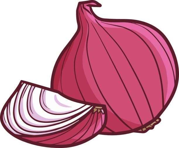 Basic RGB Funny and cute red purple onion for your cooking ingredient. onion stock illustrations