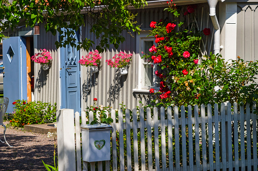 Idyllic summer garden with blooming flowers and a mailbox on the fence