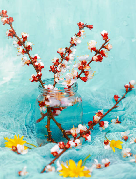 istock beautiful twigs of flowering trees in spring 1224974559