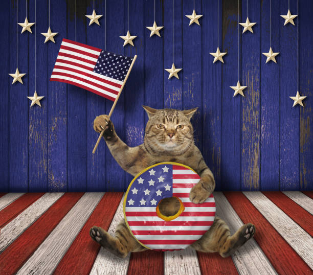 istock Cat with donut and flag on stage 1224974750