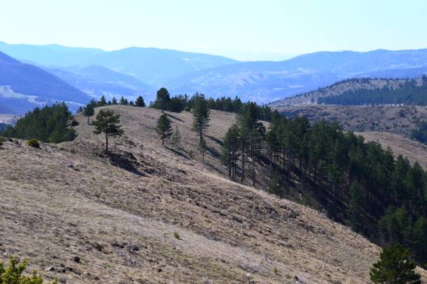 istock landscape of mountains and hills in spring 1224974967