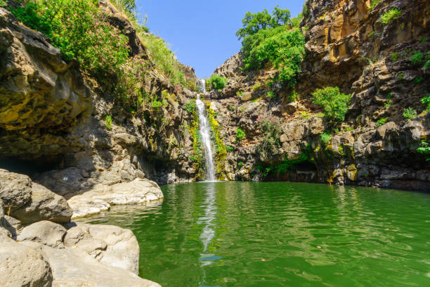 istock Zavitan waterfall, in Yehudiya Forest Nature Reserve 1224979972