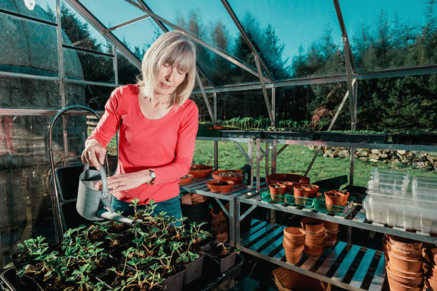 istock Woman in her greenhouse 1224983755