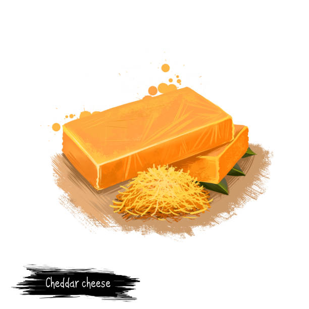 Cheddar cheese piece digital art illustration isolated on white background. Fresh dairy product, healthy organic food in realistic design. Delicious appetizer, gourmet snack italian meal Cheddar cheese piece digital art illustration isolated on white background. Fresh dairy product, healthy organic food in realistic design. Delicious appetizer, gourmet snack italian meal cheddar cheese stock illustrations