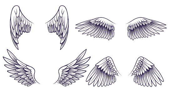 Sketch angel wings. Hand drawn different wings with feathers. Black bird wing silhouette for logo, tattoo or brand, isolated vintage vector set