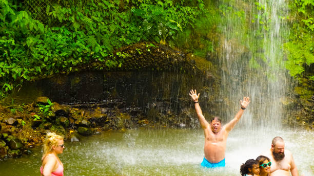 セントルシアの植物園の滝 - st lucia antilles eco tourism tourism ストックフォトと画像