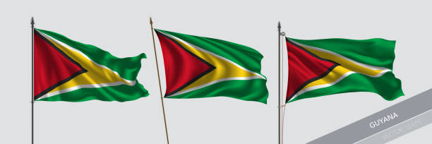 istock Set of Guyana waving flag on isolated background vector illustration 1224994973