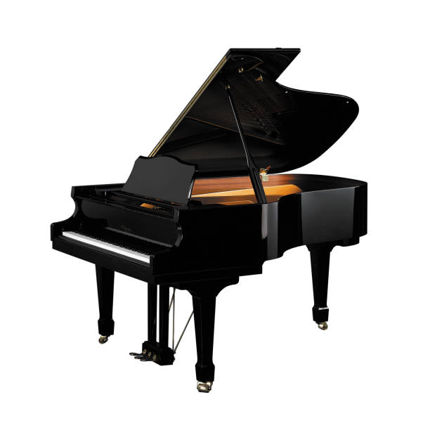 istock Piano, Grand Piano Strings Percussion Music Instrument Isolated on White background 1224998421