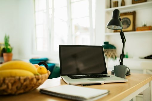 Workplace setup at home