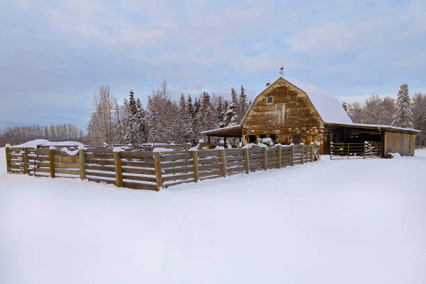 istock Barn in Rural Alaska 1225003185