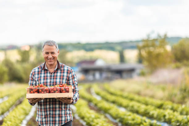 istock We only harvest the ripest and freshest 1225003415