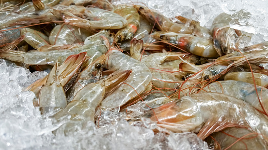 Bunch of fresh uncooked shrimps on display among ice for sale at a local fish monger. Ready for catering purposes for all social occasions.