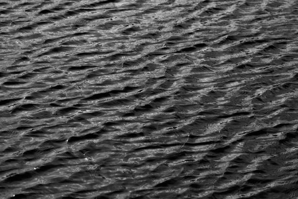 istock black and white water texture. background for the designer 1225010191