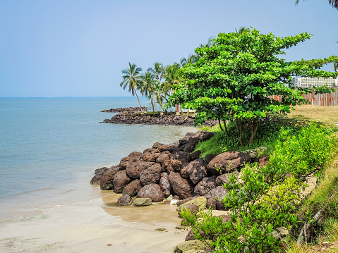 Panoramic view of the paradisiacal beach with tropical trees and clear and fine sand of Libreville, capital of the state of Gabon