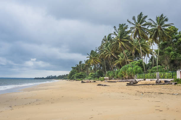 Libreville beach Panoramic view of the paradisiacal beach with tropical trees and clear and fine sand of Libreville, capital of the state of Gabon gabon stock pictures, royalty-free photos & images