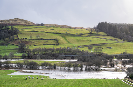 Flooding caused by a river bursting its banks in Galloway, South West Scotland, during February.