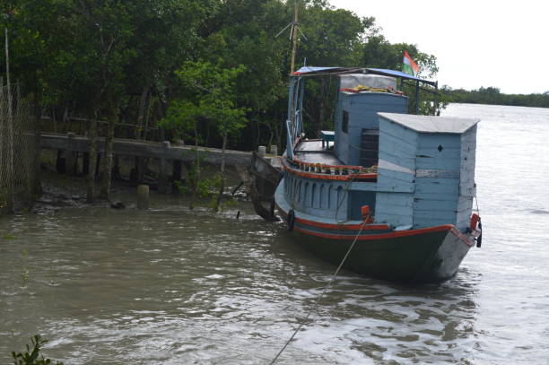 istock Wooden boat parked in water 1225021257