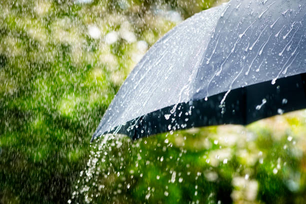 regen auf regenschirmkonzept für schlechtes wetter, winter oder schutz - regen stock-fotos und bilder