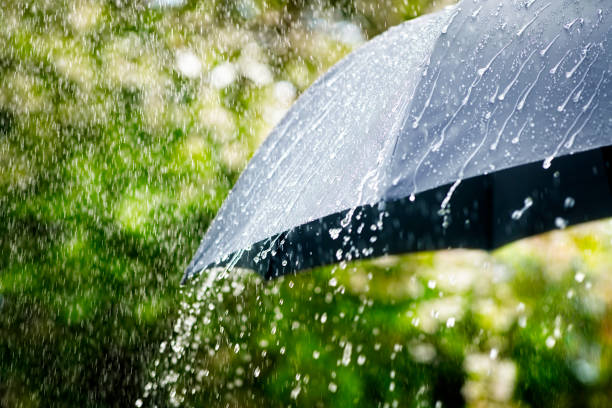 istock Rain on umbrella concept for bad weather, winter or protection 1225022383
