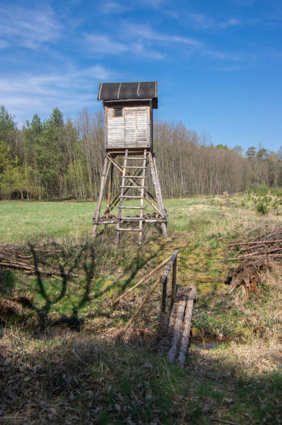 istock Wooden deer stand 1225022385