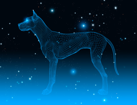 Wireframe dog in a dark space with stars, constellation symbol, 3d illustration