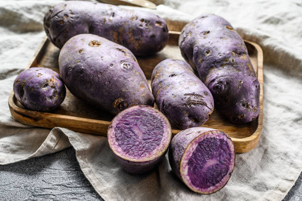 istock vitelotte raw potato on a chopping Board. Gray background. Top view 1225024435