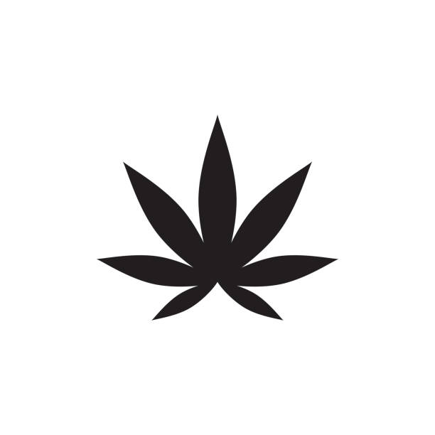 obraz wektora wektorowego zdrowia liści konopi - narcotic medicine symbol marijuana stock illustrations