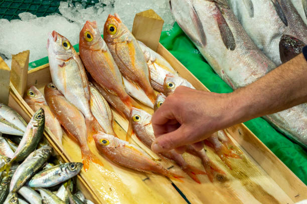 istock fresh fish on the ice in the market 1225025423