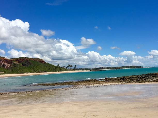istock Paradise, Paraiba Beach 1225028106