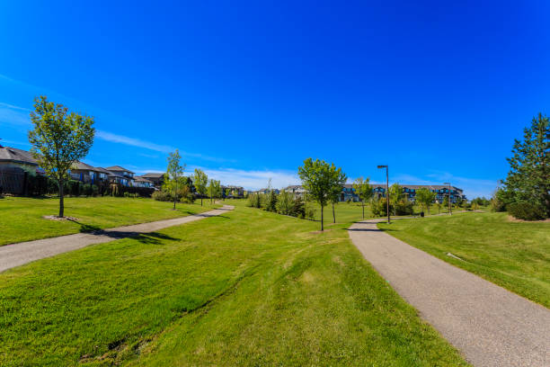 istock Draggins Car Club Park 1225028414