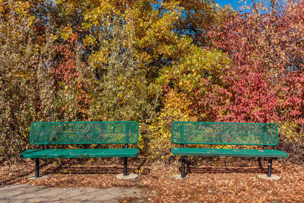 forest park - saskatoon saskatchewan university canada imagens e fotografias de stock