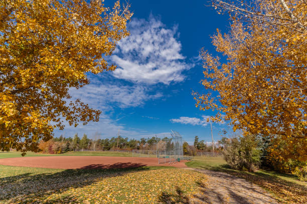 forest park - saskatoon saskatchewan university canada imagens e fotografias de stock