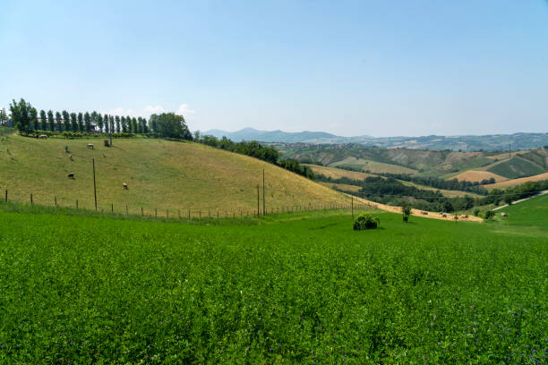 istock Rural landscape presso Rivalta di Lesignano Bagni, Emilia-Romagna 1225031187