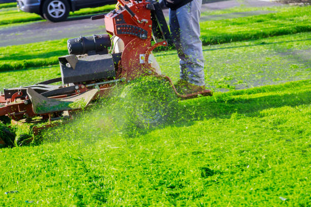 istock Man cutting lawn with using a gasoline mower 1225031544