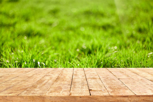 istock Empty wooden deck table with foliage bokeh background. Ready for product display montage. 1225031730