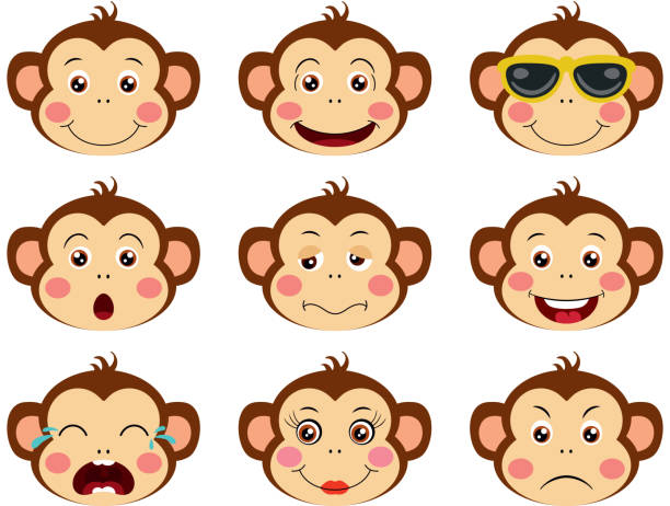 ilustrações de stock, clip art, desenhos animados e ícones de faces of monkeys with feature a different expressions - beautiful friendship wildlife nature