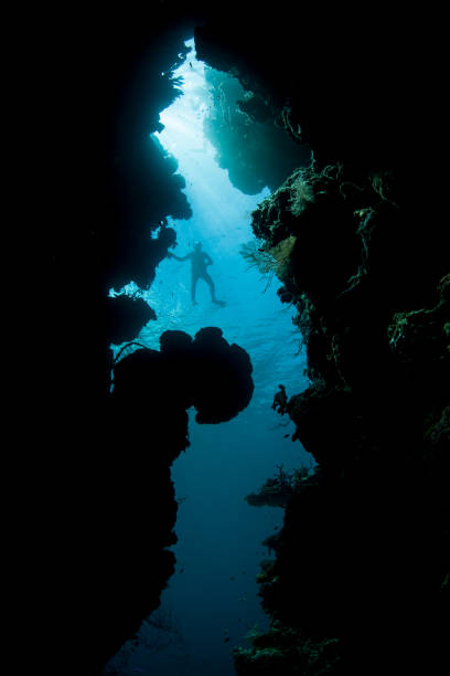 istock Snorkeler and Dark Reef Crevice 1225033348