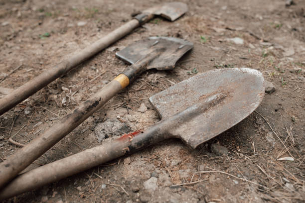 istock dirty shovels on the ground in the woods after work 1225034278