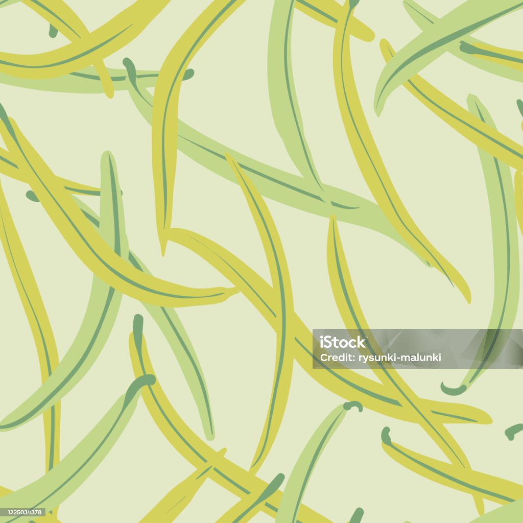 Pattern Bean Vector Green Beans Seamless Vector Culinary Pattern Stock Illustration ...