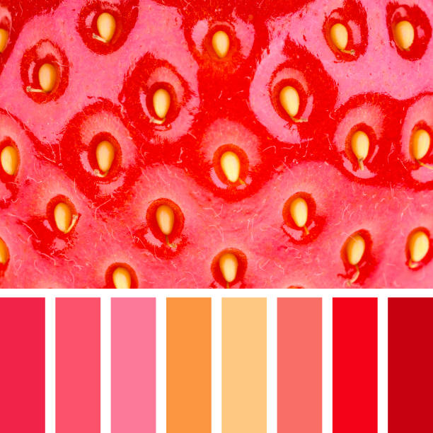 istock Strawberry Closeup Palette 1225034638