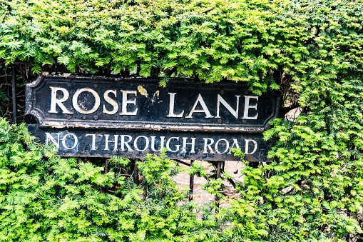 Rose Lane sign in Oxford, Oxfordshire, UK. It is beside Christ Church Cathedral,