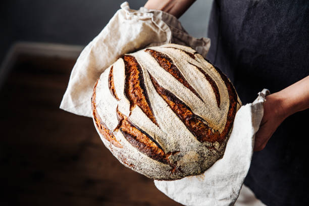 Woman holding fresh baked sourdough bread Close-up of fresh baked sourdough bread. Woman is holding wheat and rye beard. She is in kitchen. loaf of bread stock pictures, royalty-free photos & images